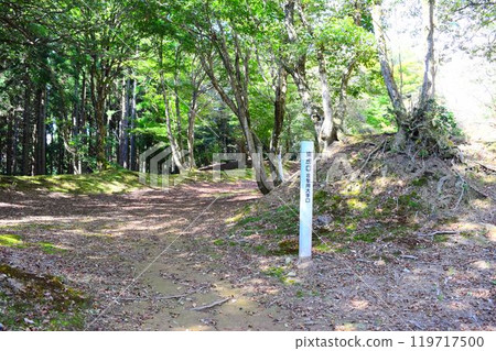 【上接日本名城百選】根寶城 119717500