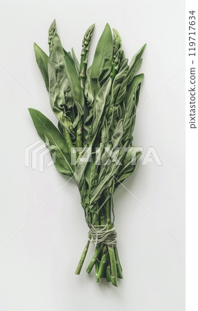 Bouquet of Green Asparagus and Sage Leaves , Generate AI 119717634