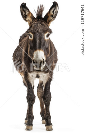 Portrait of a Donkey , Generate AI 119717641
