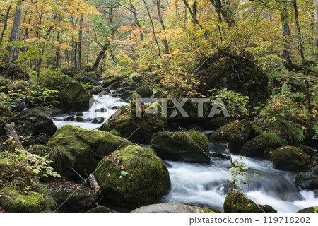 Oirase valley of colored leaves Oirase valley of colored leaves 119718202