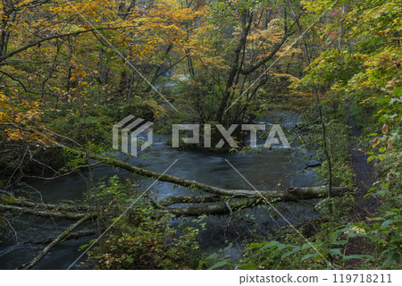 色的Oirase谷葉子 色的Oirase谷葉子 119718211