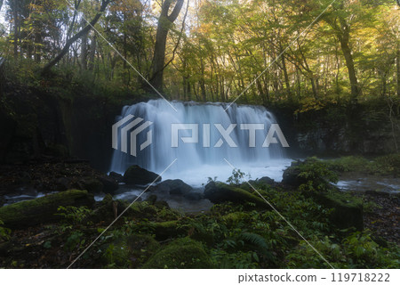 色的Oirase谷葉子 119718222