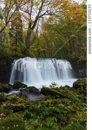 Oirase valley of colored leaves 119718243