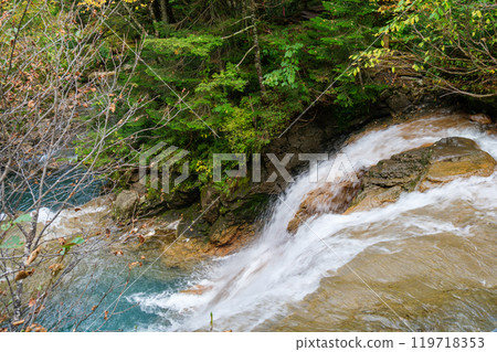 Autumn leaves in the valley Autumn leaves in the valley 119718353