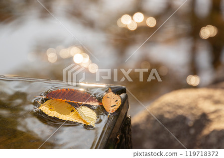 Fallen autumn leaves floating on the water surface in fantastic light 119718372