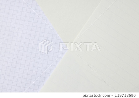 Torn sheets from notebooks on a light background 119718696