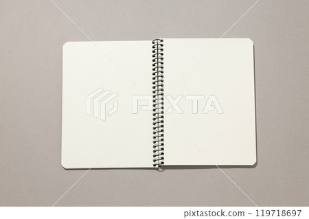 An open notebook lies on a light background 119718697