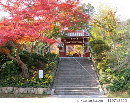 Autumn leaves and the temple gate at Kakuonji Temple in Yamaguchi Prefecture 119718823