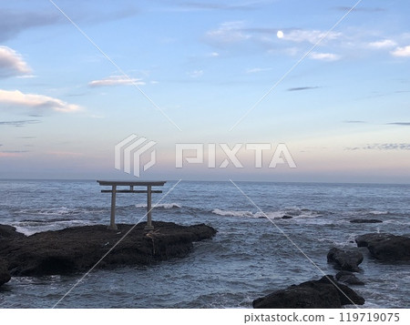 Torii漂浮在海中 119719075