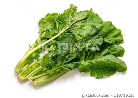 Yamato Mana, a leafy vegetable native to Nara Prefecture Yamato Mana, a leafy vegetable native to Nara Prefecture 119719125