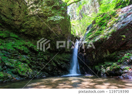 A beautiful small waterfall falling from a cliff with moss-covered rocks and fresh greenery. Photographed in June 2024 on the Hinodeyama hiking trail in Akiruno City, Tokyo. 119719390
