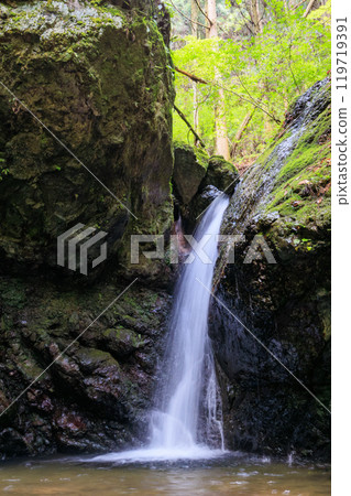 美麗的小瀑布從青苔覆蓋的岩石和新鮮綠色的懸崖上落下東京秋留野市、日出山山道等。 119719391