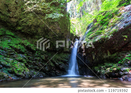 美麗的小瀑布從青苔覆蓋的岩石和新鮮綠色的懸崖上落下東京秋留野市、日出山山道等。 119719392