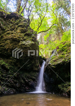 美麗的小瀑布從青苔覆蓋的岩石和新鮮綠色的懸崖上落下東京秋留野市、日出山山道等。 119719393