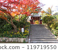 山口縣覺園寺秋葉的三門和樓梯 119719550