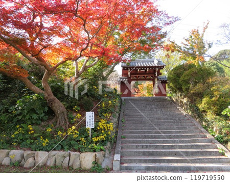 Autumn leaves at the mountain gate and stairs of Kakuonji Temple in Yamaguchi Prefecture 119719550