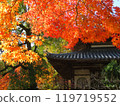 山口縣覺園寺主殿鮮紅的楓樹和瓦片屋頂 119719552
