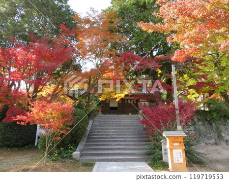 Autumn leaves temple: Kakuonji Temple, Yamaguchi Prefecture Autumn leaves temple: Kakuonji Temple, Yamaguchi Prefecture 119719553