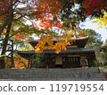 山口縣覺園寺正殿的秋葉 119719554
