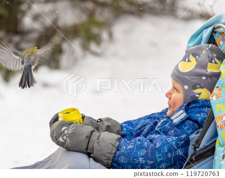 The Great tit eats seeds from a palm of little boy. Hungry bird Great tit eating seeds from a hand during autumn 119720763