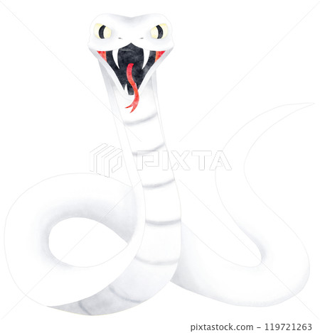 Illustration of a white snake with its mouth open and tongue out, front 119721263