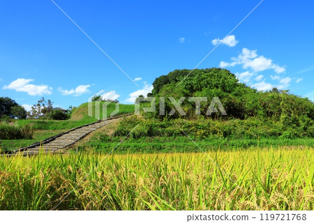天武/地東天皇陵（須見大內陵）和田園風光 119721768
