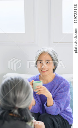 Senior women having a conversation in a room 119722188