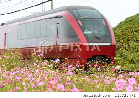 Cosmos and red train Cosmos and red train 119722471