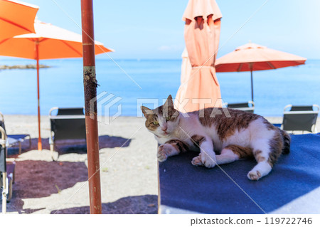 A mascot cat. A wonderful beach house that doubles as a museum and live music venue. Araihama, Miura City, Kanagawa Prefecture, June 2024 A mascot cat. A wonderful beach house that doubles as a museum and live music venue. Araihama, Miura City, Kanagawa Prefecture, June 2024 119722746