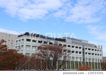 新浦安城市景觀 新浦安城市景觀 119723341