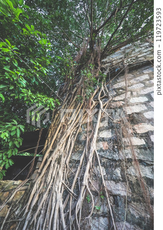 Oct 27 2024 Cha Kwo Ling Village, Last Remaining Coastal Village Oct 27 2024 Cha Kwo Ling Village, Last Remaining Coastal Village 119723593