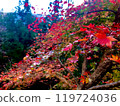 Autumn leaves stained red 119724036