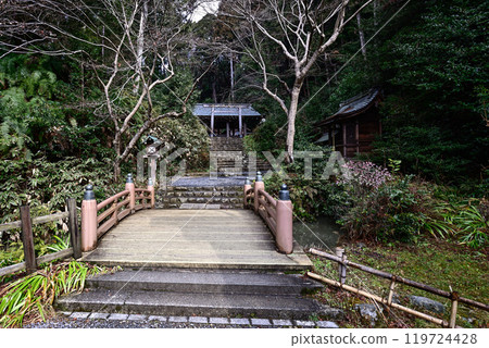 日向大神宮（上野本宮）的參道 119724428