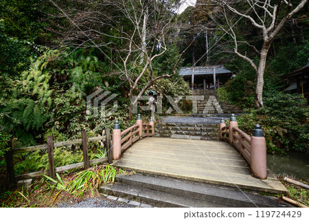 日向大神宮（上野本宮）的參道 119724429