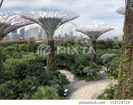 View from the OCBC Skyway 119724729