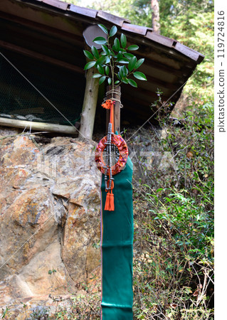 日向大神宮海之岩戶（Nukemairi） 119724816