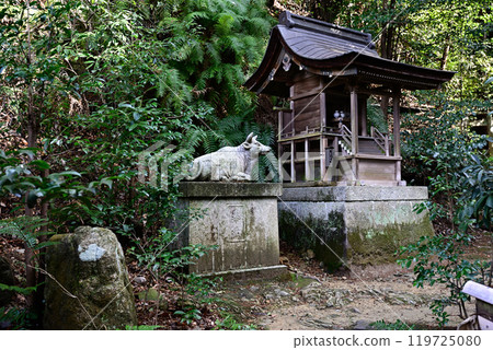 Asahi Tenmangu Shrine, a shrine within the grounds of Hyuga Taisha Shrine Asahi Tenmangu Shrine, a shrine within the grounds of Hyuga Taisha Shrine 119725080