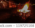 Bonfire 119725108