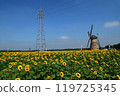 Windmills and sunflower fields at Sakura Furusato Square 119725345