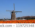 Windmill, blue sky and tulips 119725348