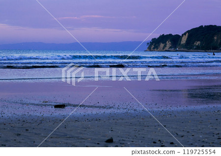 The beach and shore at sunrise 119725554
