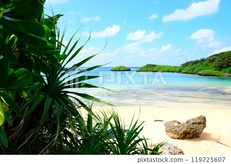 Iriomote Island star sand beach Iriomote Island star sand beach 119725607
