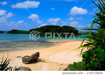 Iriomote Island star sand beach Iriomote Island star sand beach 119725608