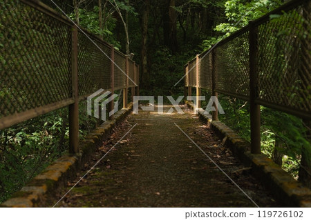 A path surrounded by green 119726102