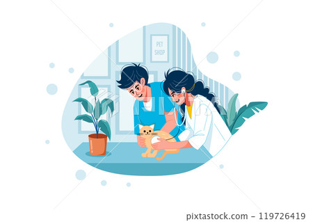 Pet doctor examining cat Pet doctor examining cat 119726419