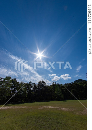 森林帶和光線的輪廓 119726441