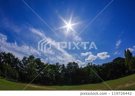Silhouettes and rays of light in the forest Silhouettes and rays of light in the forest 119726442