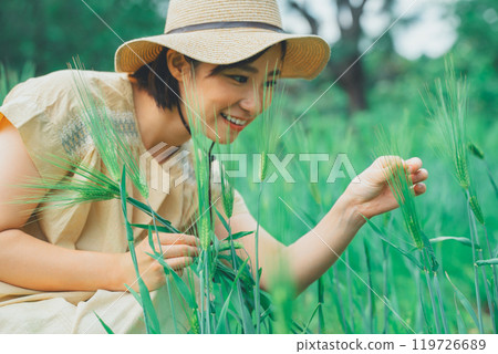Picking wheat 119726689