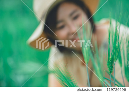 Picking wheat 119726696