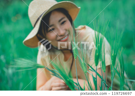 Picking wheat 119726697